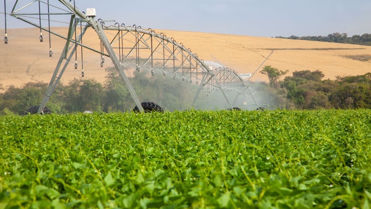 irrigacao pode elevar em quase R$ 9 mil por hectare o valor gerado no campo