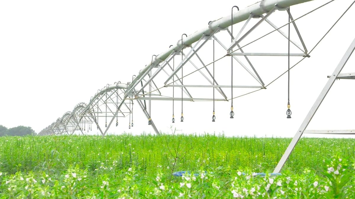 Municipios com mais areas irrigadas dependem menos de bolsa familia diz estudo