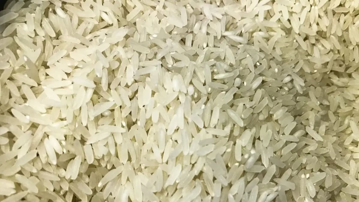 Precos do arroz voltam a cair no rs com oferta elevada e demanda enfraquecida