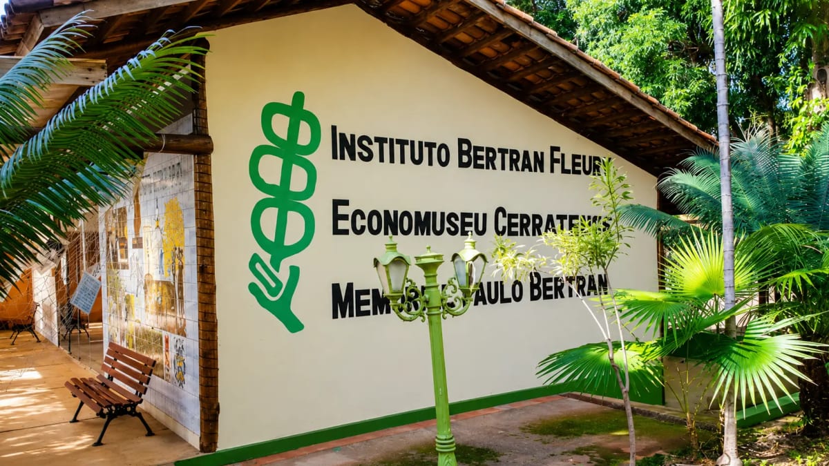 Mostra Estados de Regeneração transforma vivências no Cerrado em arte e reflexão ambiental
