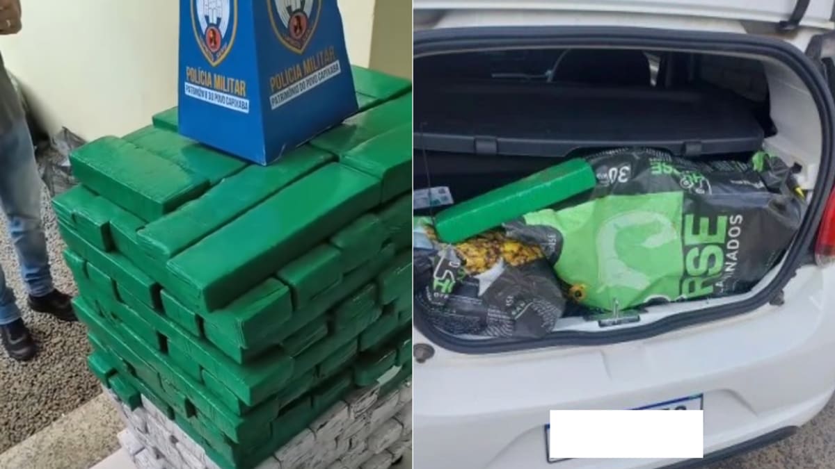 Polícia apreende 160kg de maconha escondidos em sacos de ração em Linhares