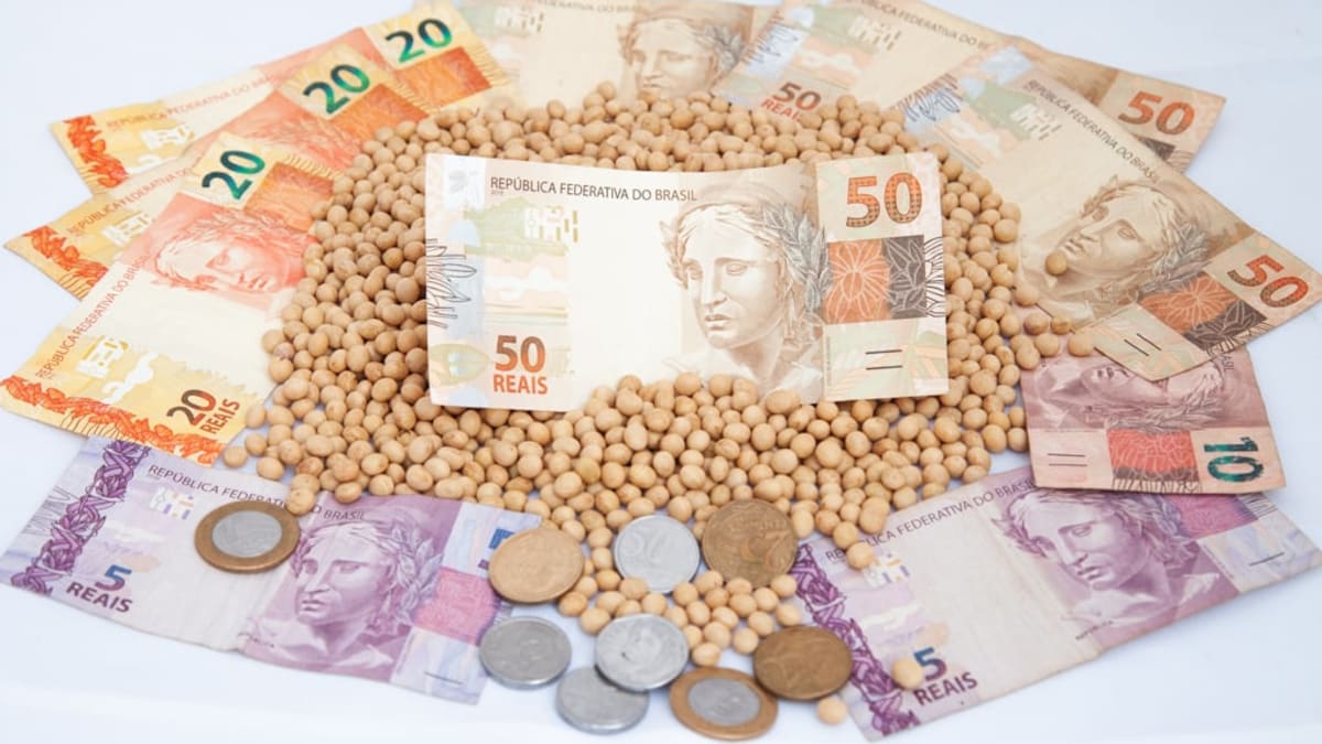 Apenas uma regiao do Brasil apresenta alta na cotação de soja como ficou o mercado no geral
