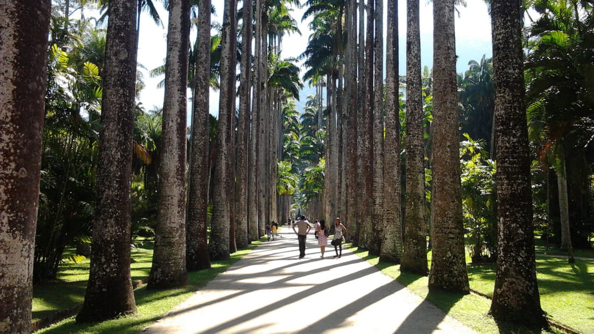 Jardim Botânico do Rio busca empresas para operar espaços gastronômicos no parque