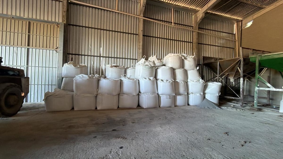 Toneladas de produtos agricolas adulterados sao encontradas em barracao clandestino