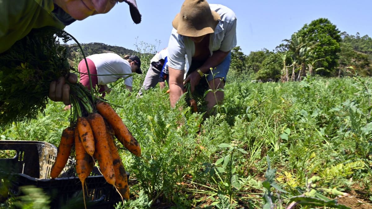 Projeto quer incentivar sucessão familiar para manter jovens no campo capixaba