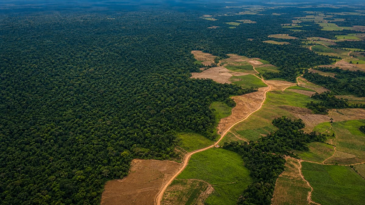 Ministerio do desenvolvimento agrario anuncia 513 titulos rurais e amplia credito instalacao no para