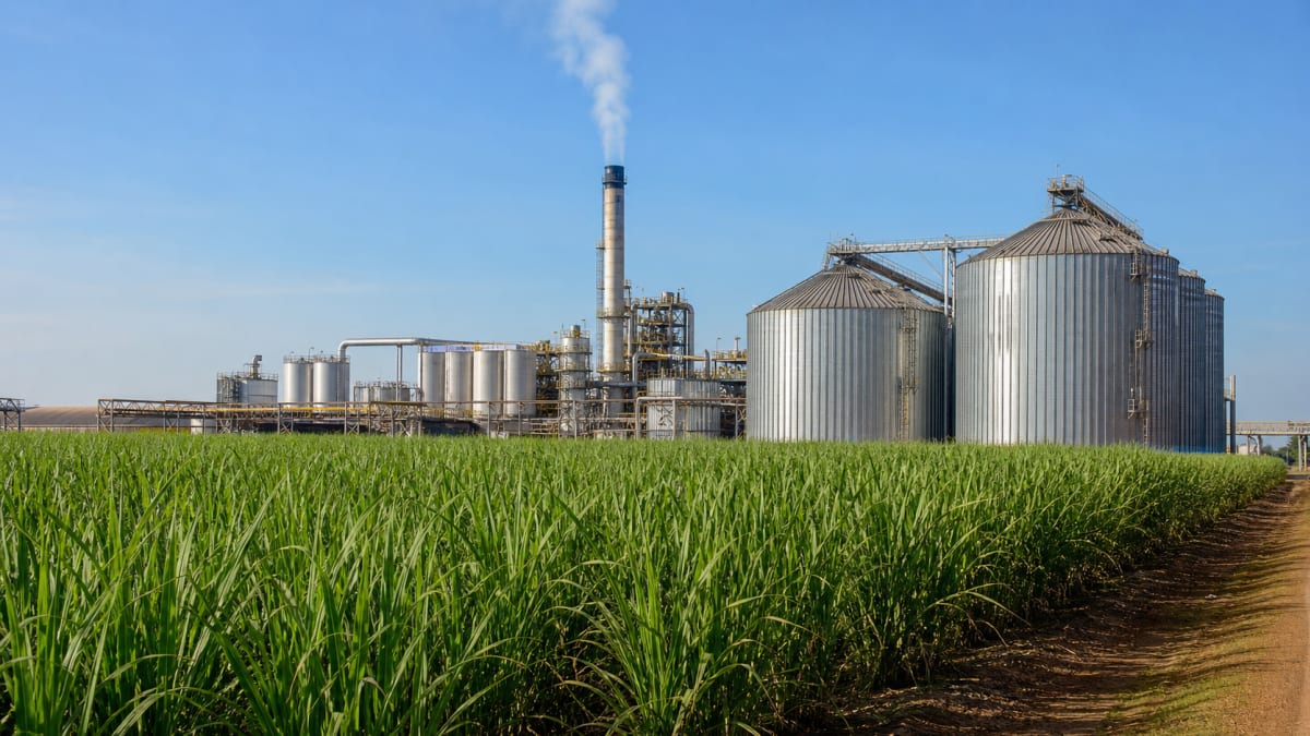 Produção da agroindustria cresce 18 em abril informa fgvagro