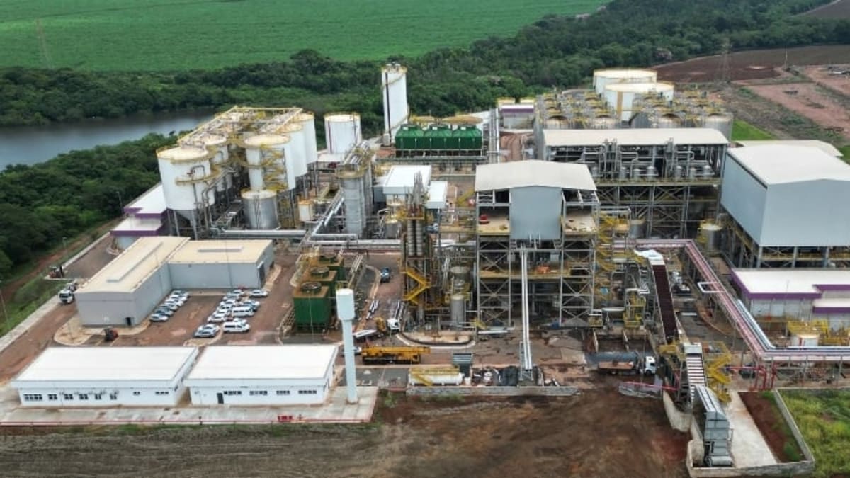 Raizen abre mais de 100 vagas de estagio em varias regiões do pais inscricoes terminam neste domingo 21
