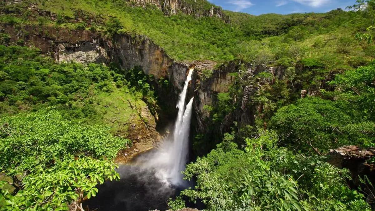 Jovem de 22 anos morre após afogamento em área rural de Alto Paraíso de Goiás