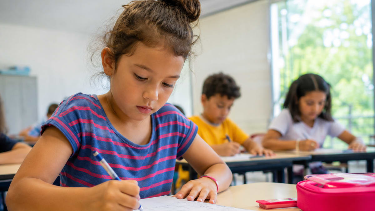 Nova lei pode beneficiar 1270 estudantes superdotados no Espírito Santo