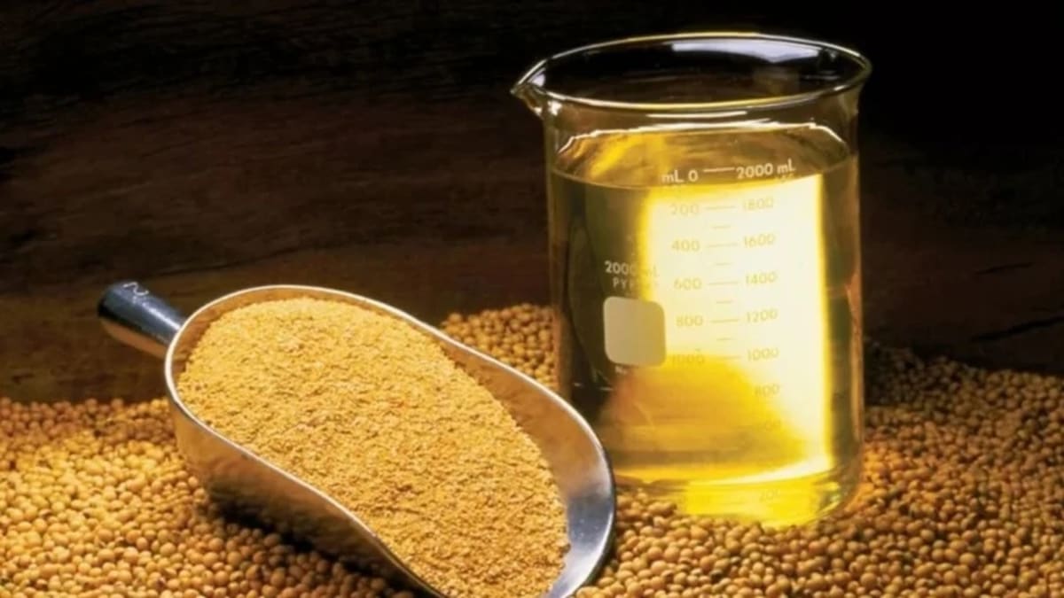 Abiove confirma crescimento do esmagamento de soja em 2026
