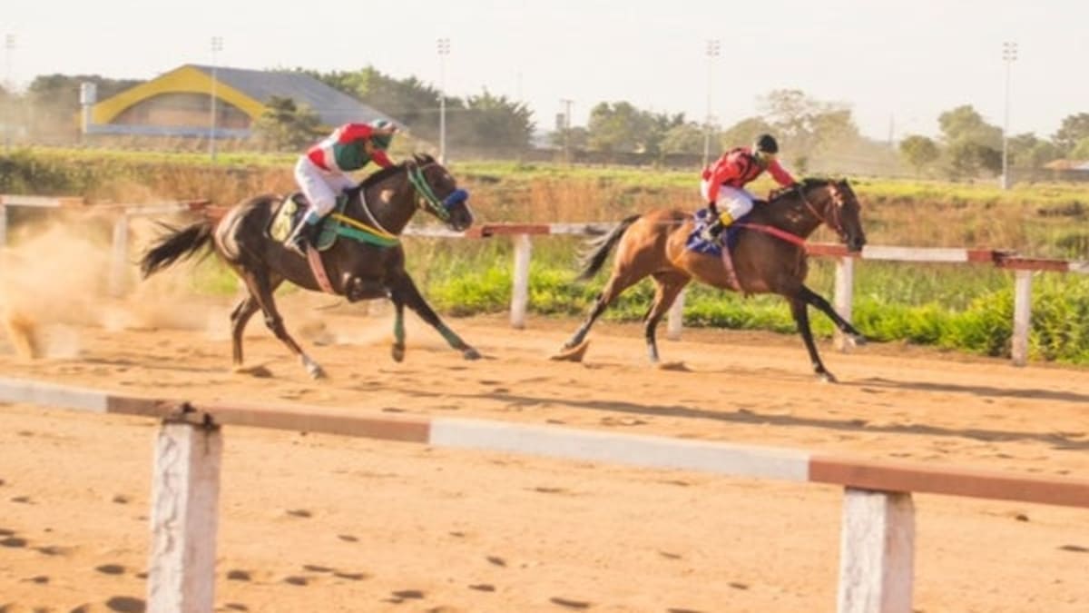 Ministério suspende corridas de cavalo no Jóquei Clube