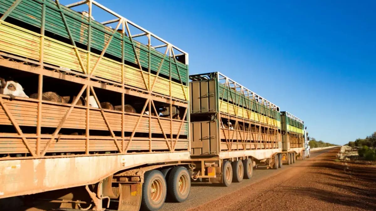Goiás dispensa impressão de guia obrigatória para transporte de animais e documento poderá ser apresentado pelo celular