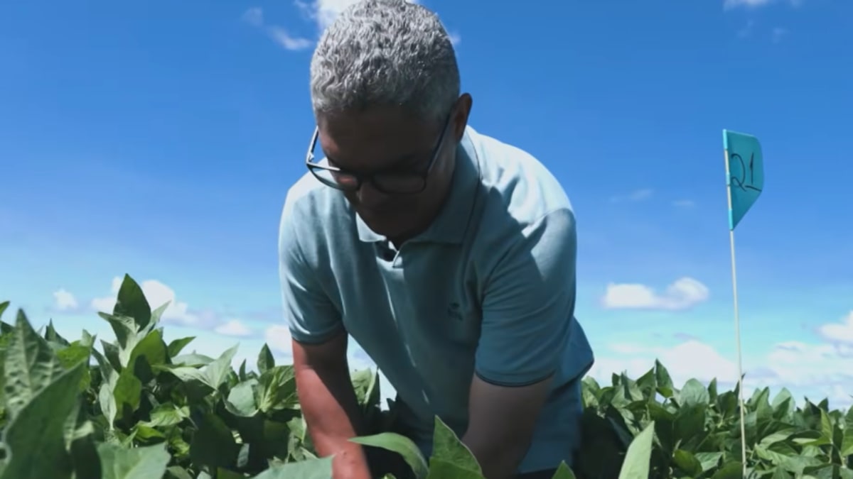 Pesquisador que desenvolve estudos em fisiologia vegetal e um dos vencedores do prêmio personagem soja Brasil 25 26