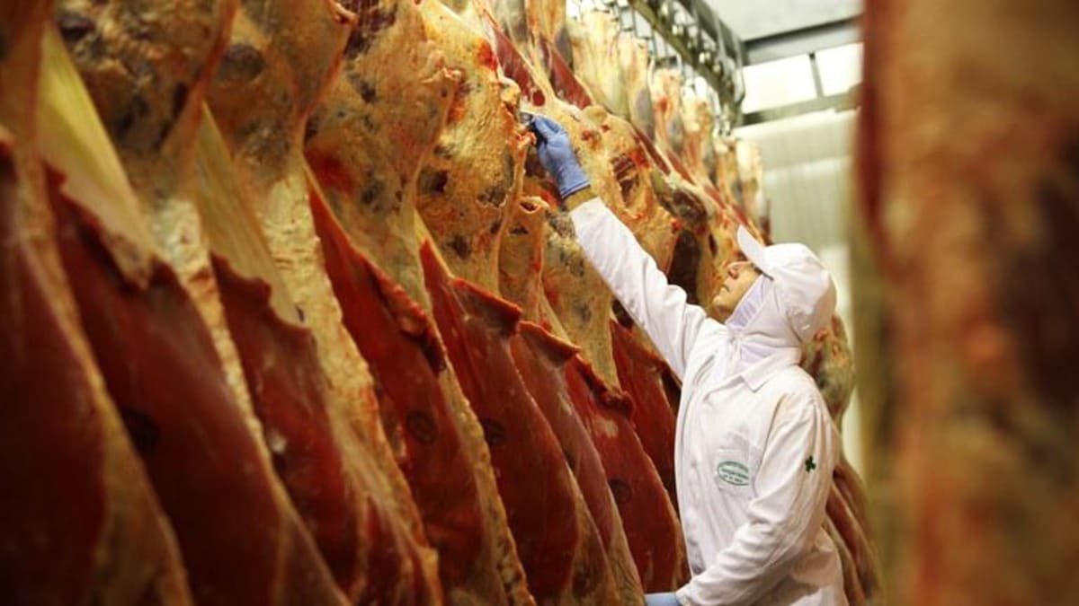 Esgotamento da cota chinesa se aproxima entenda os impactos no mercado de carne bovina brasileiro