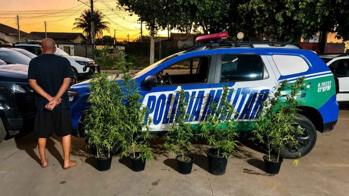 Morador é preso com plantação de maconha no quintal e admite compartilhar droga com amigos