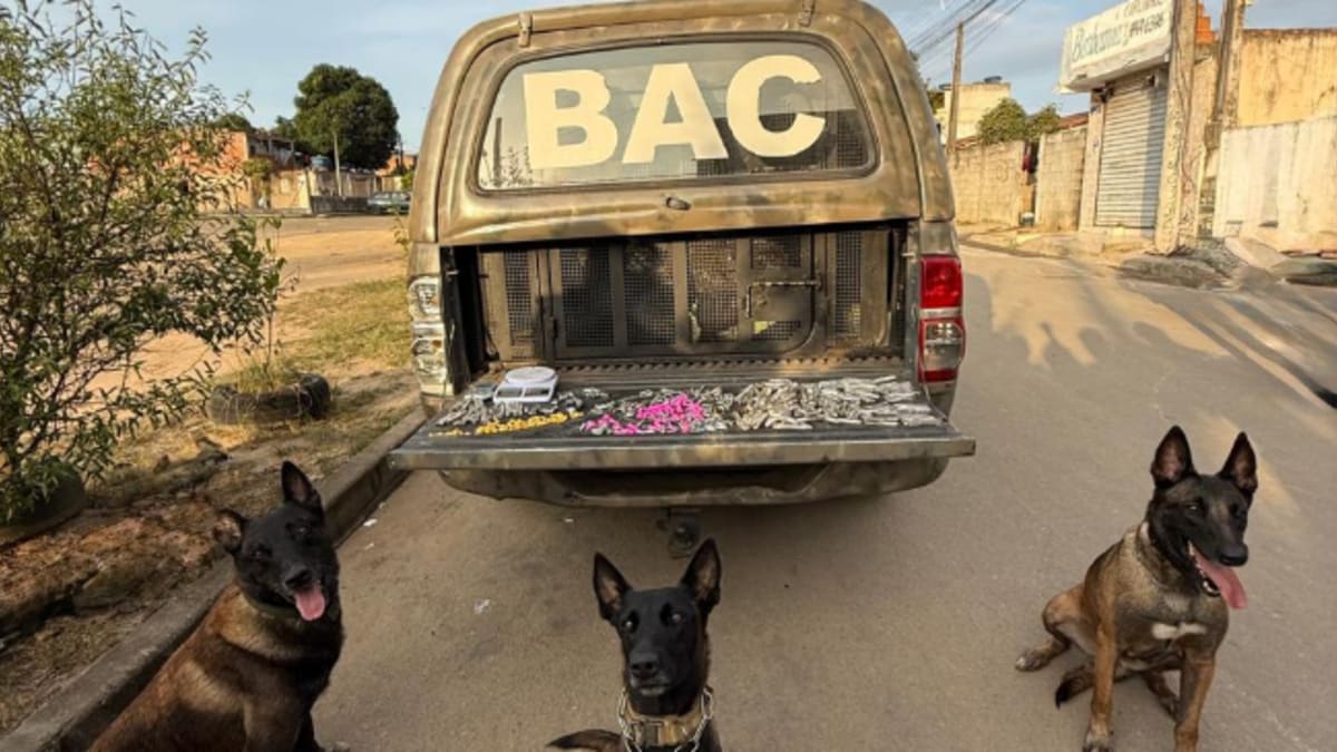 Operação com cães farejadores e patrulhamento tático resultam em prisões e apreensão de drogas no Litoral Sul