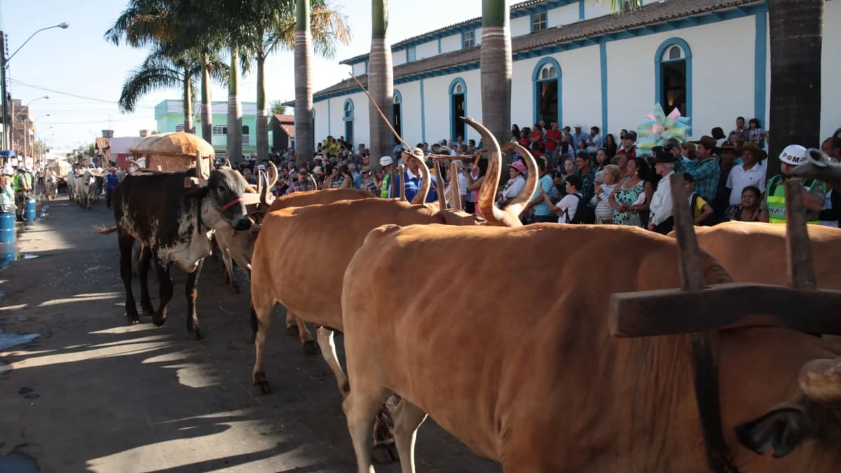 Romaria do Divino Pai Eterno já mobiliza fiéis para Trindade