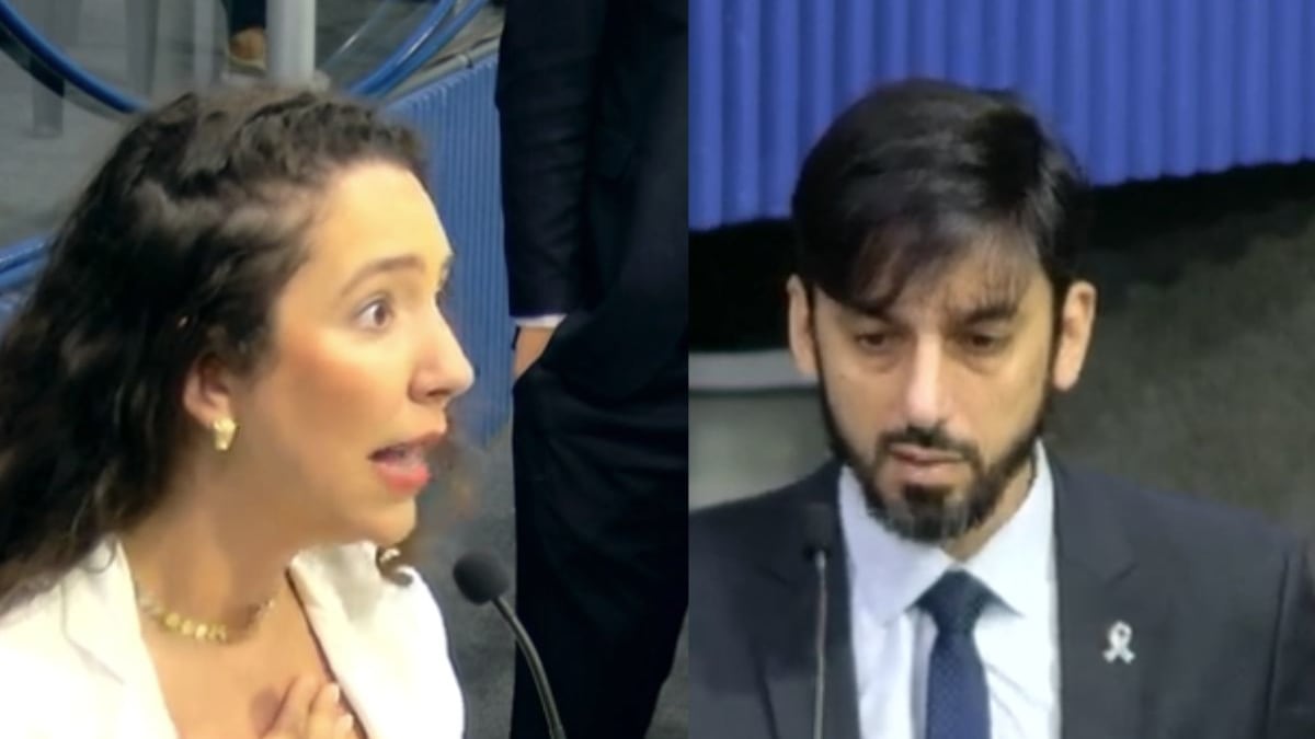 "Patriota da Shopee" e acusação de feto: sessão vira bate-boca generalizado na Câmara de Vitória