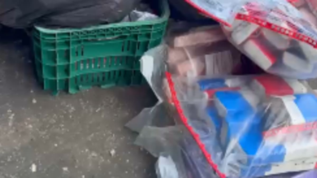 Quase 300 quilos de drogas apreendidas no norte capixaba são incineradas