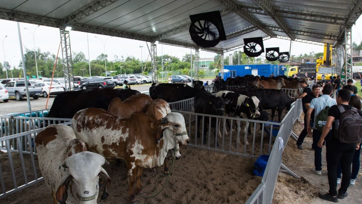 pec Brasil espera movimentar mais de R$ 150 milhões em negocios