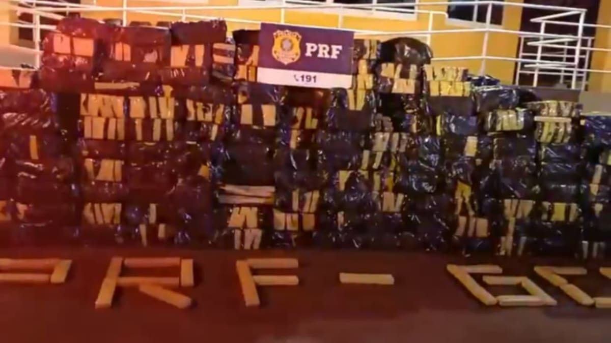 Quase 7,5 toneladas de maconha são apreendidas na BR-060, em Rio Verde