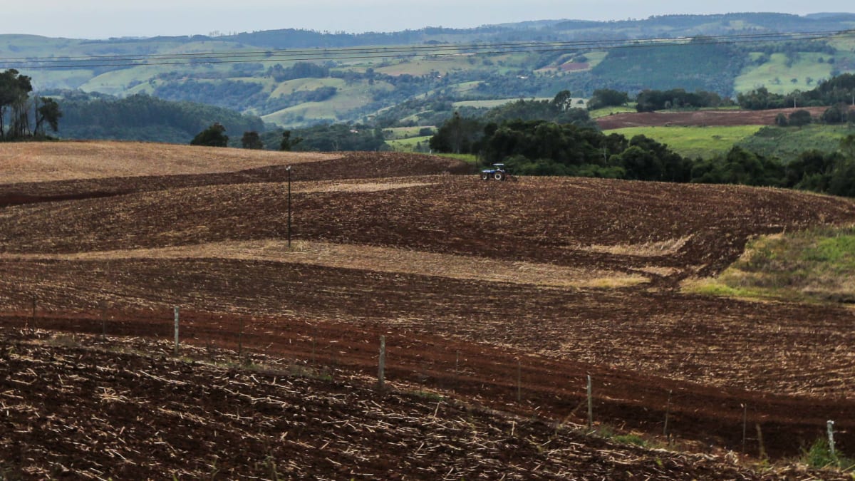 Vazio sanitario da soja esta em vigor em mato grosso do sul e segue ate 15 de setembro