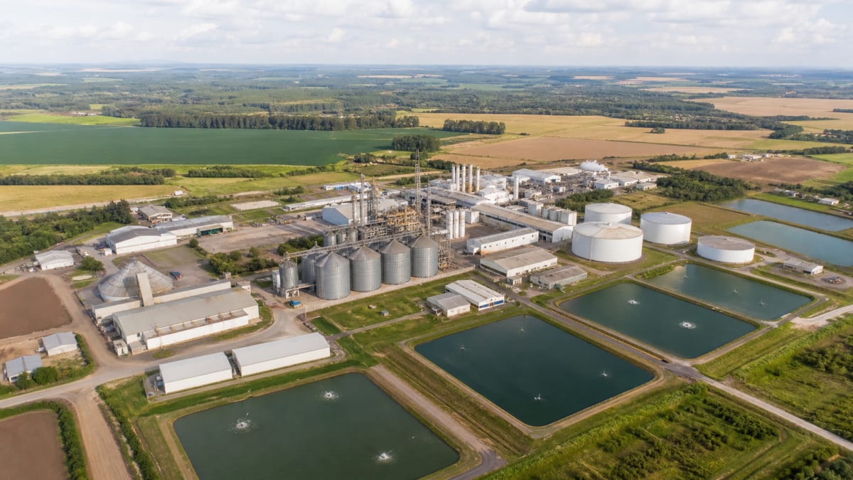 Carnes soja e etanol aparecem entre destaques da receita industrial de 2024