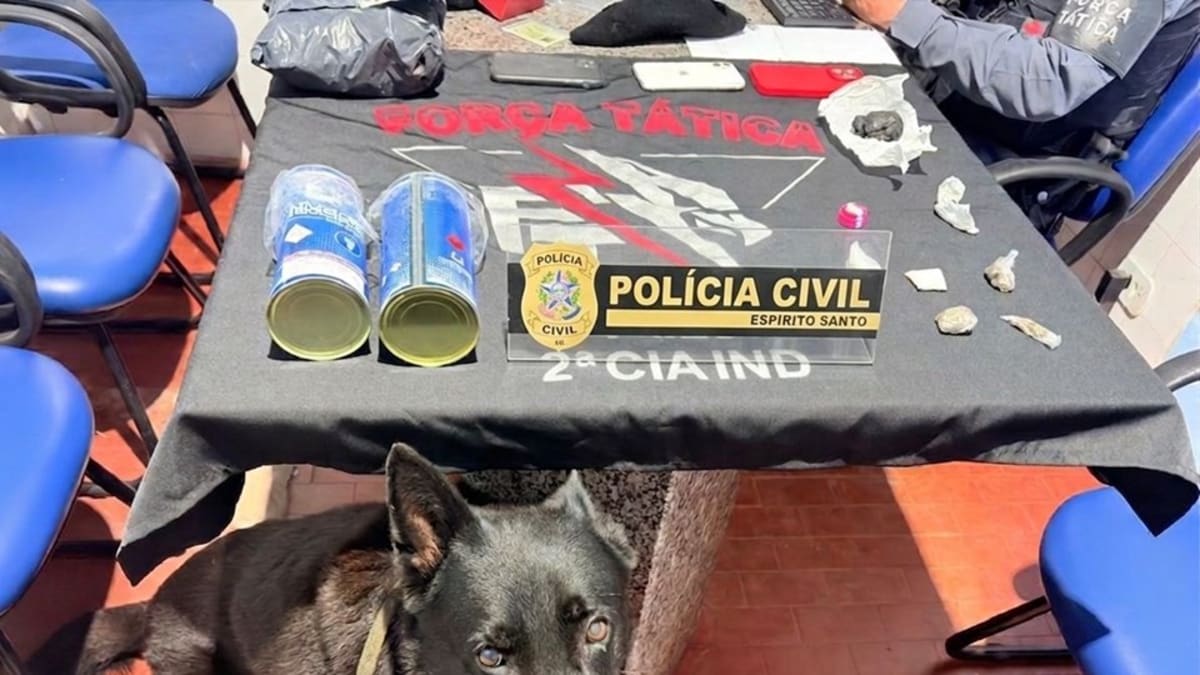 Polícia descobre boca de fumo ao lado de escola em Afonso Cláudio