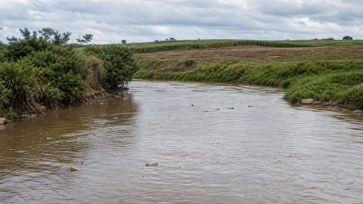 Estudo aponta contaminacao em toda a extensao do rio tiete
