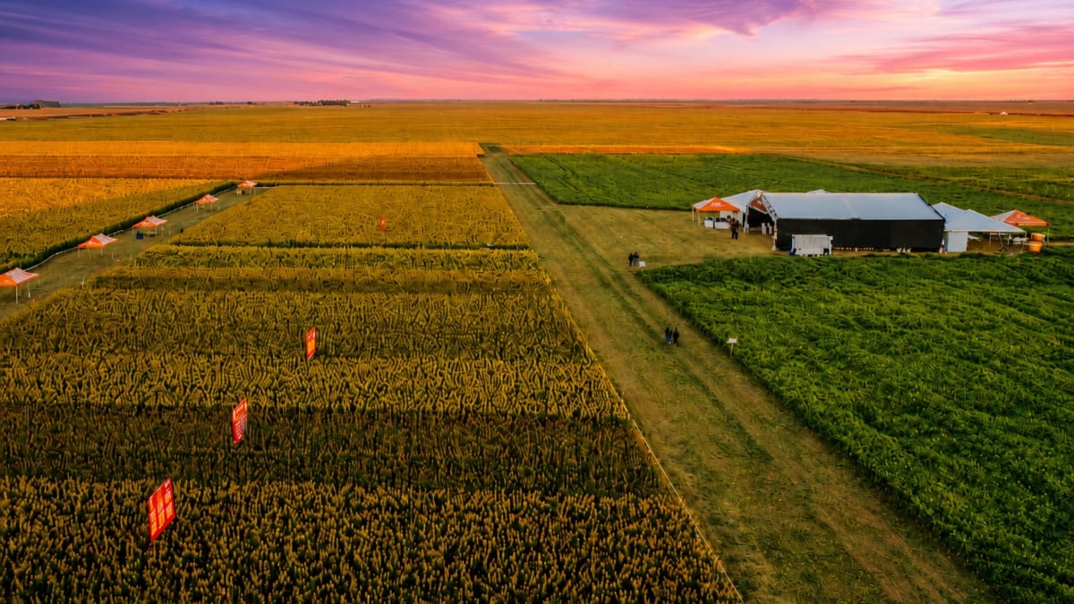Da safra ao embarque: a logística preparada para transformar produção em competitividade