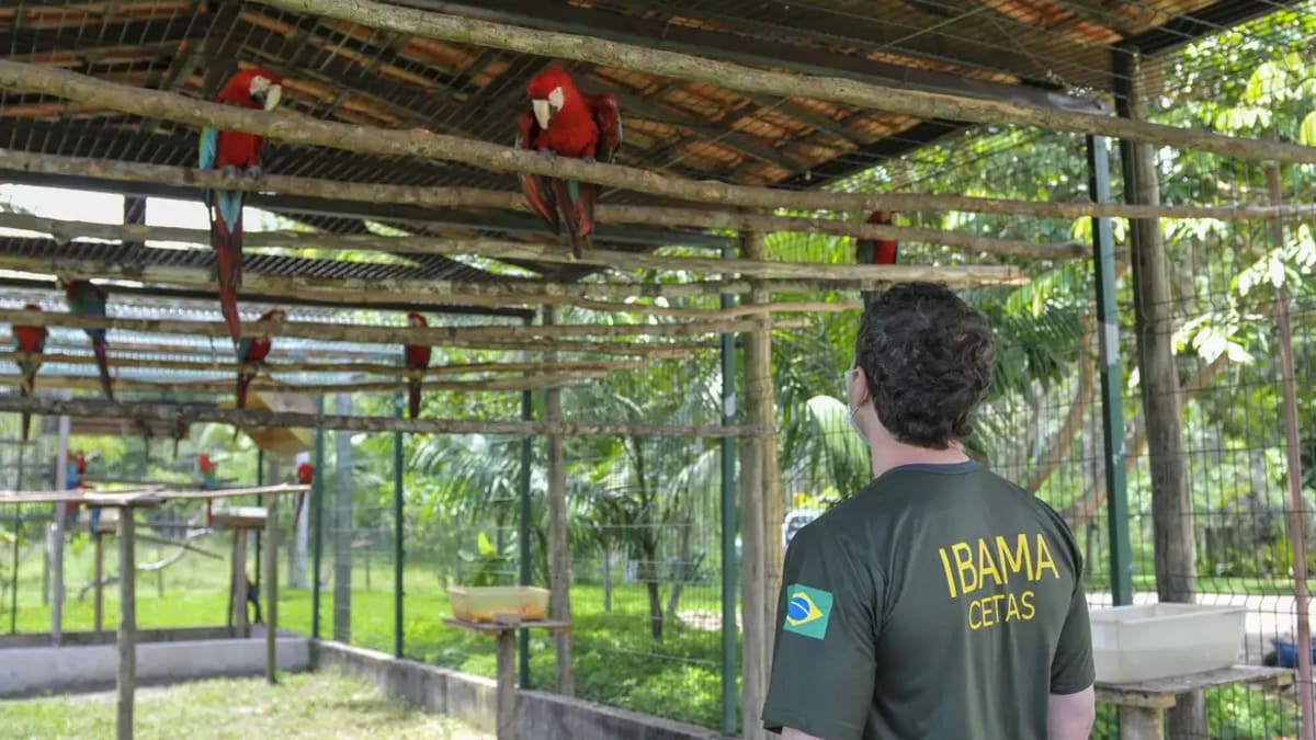 Surto de tuberculose fecha principal centro de triagem de animais silvestres do Rio