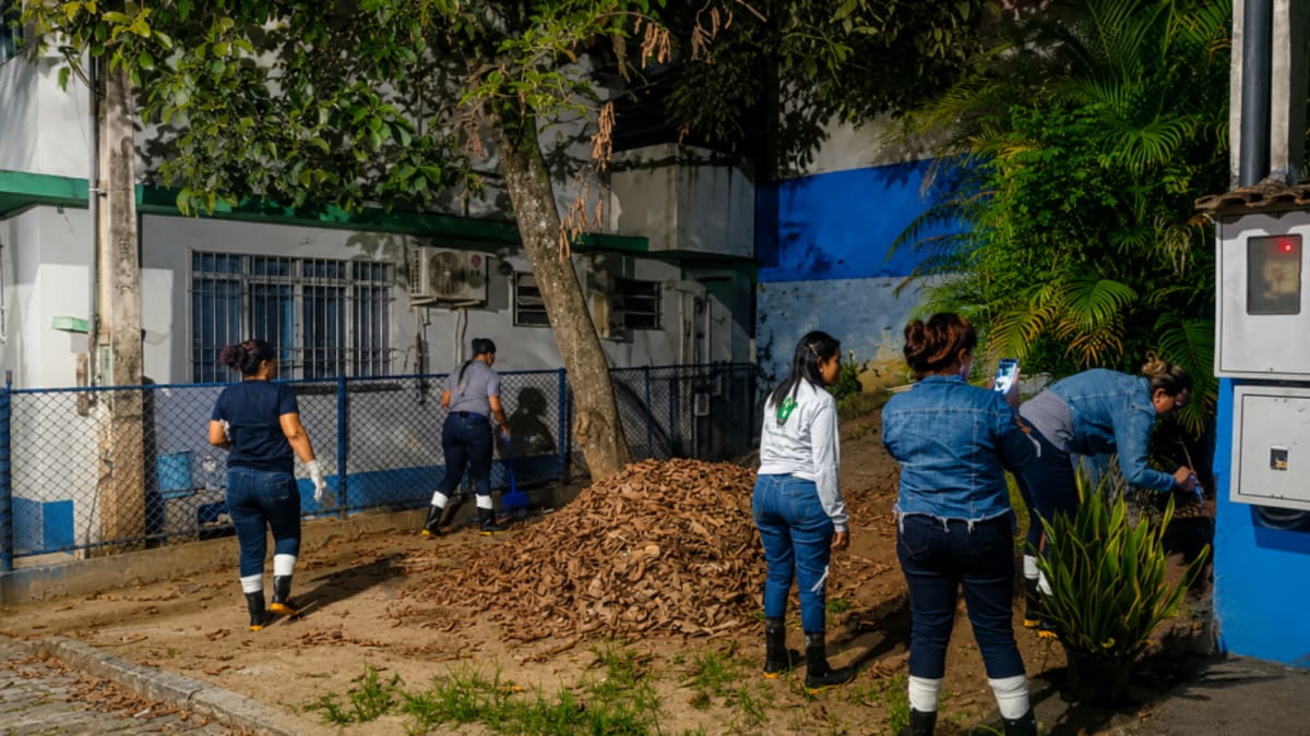 Cachoeiro registra 51 acidentes com escorpiões e treina agentes para capturas
