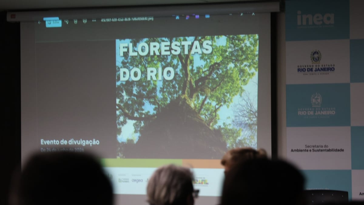 Florestas do Amanhã terá R$ 39,5 milhões para recuperar Mata Atlântica no RJ