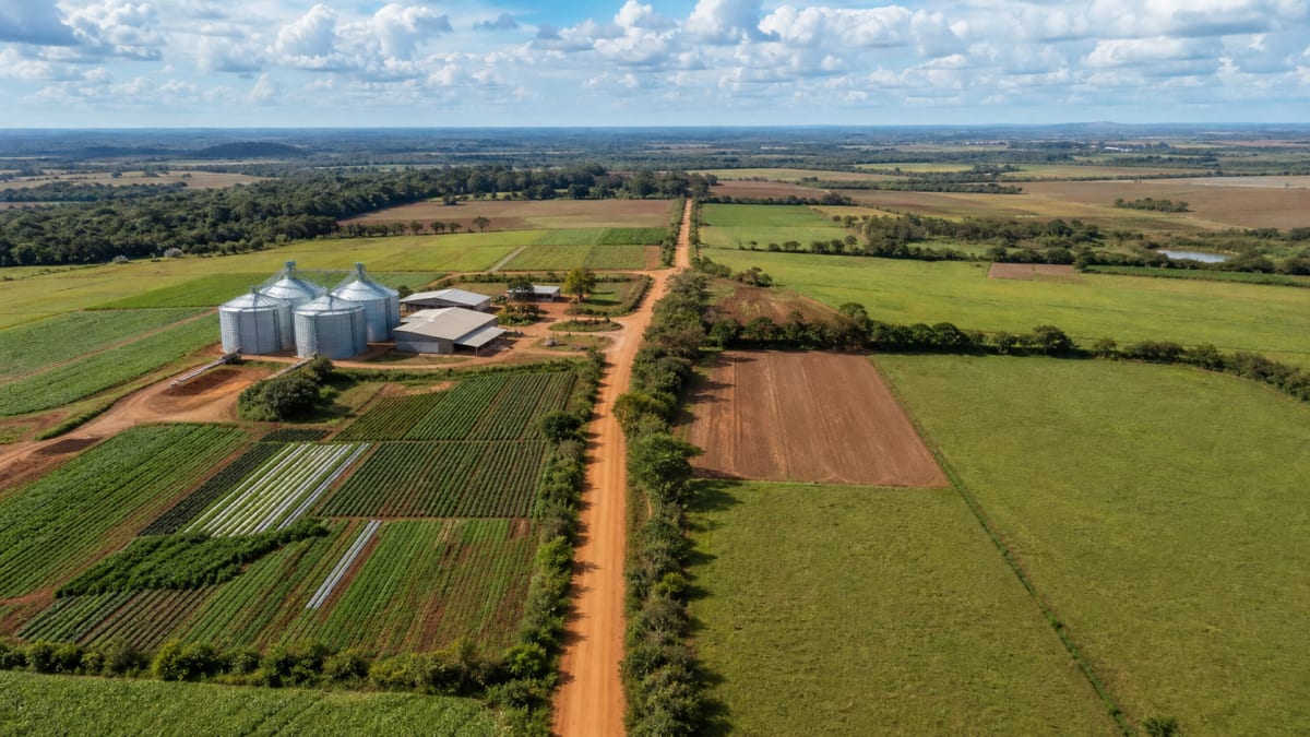 Lula lanca plano safra da agricultura familiar nesta terca em brasilia