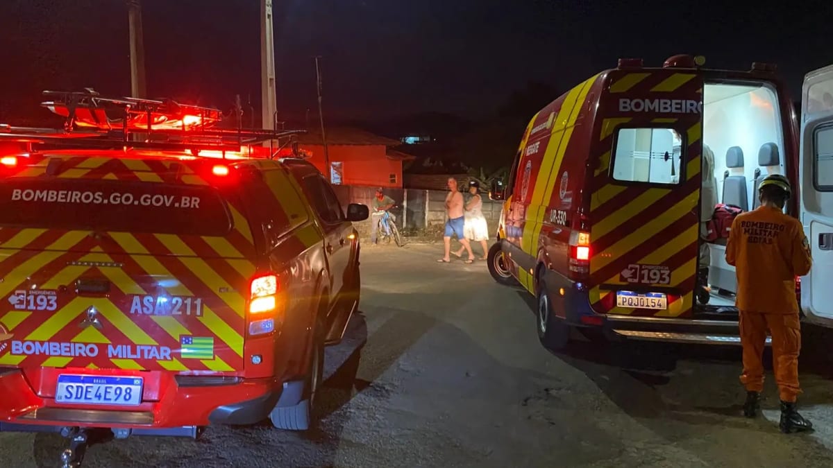 Vaca na pista provoca acidente e deixa motociclista ferida em Goianésia