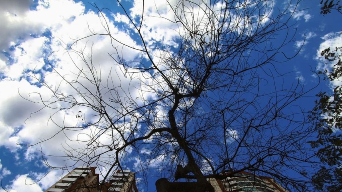 Adeus chuva: semana será de calor em Goiás, diz previsão