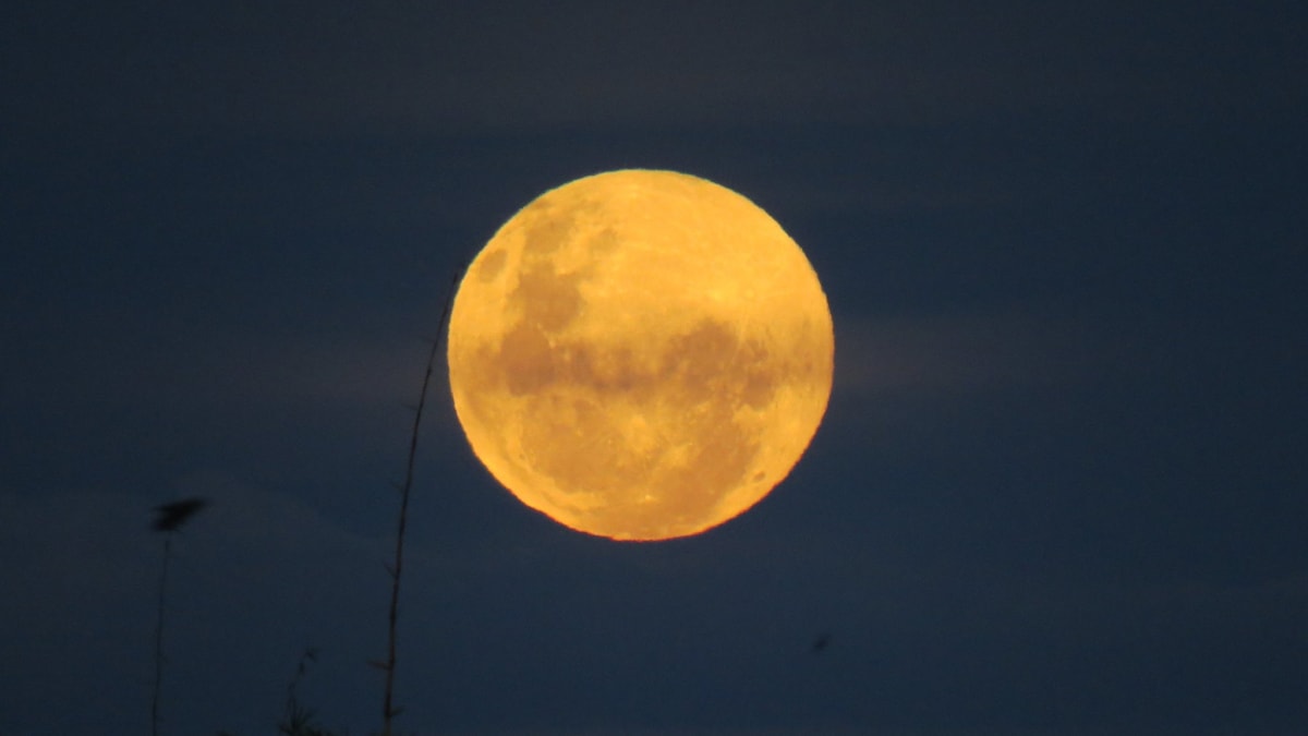 Lua de Morango poderá ser vista de Goiás nesta segunda-feira