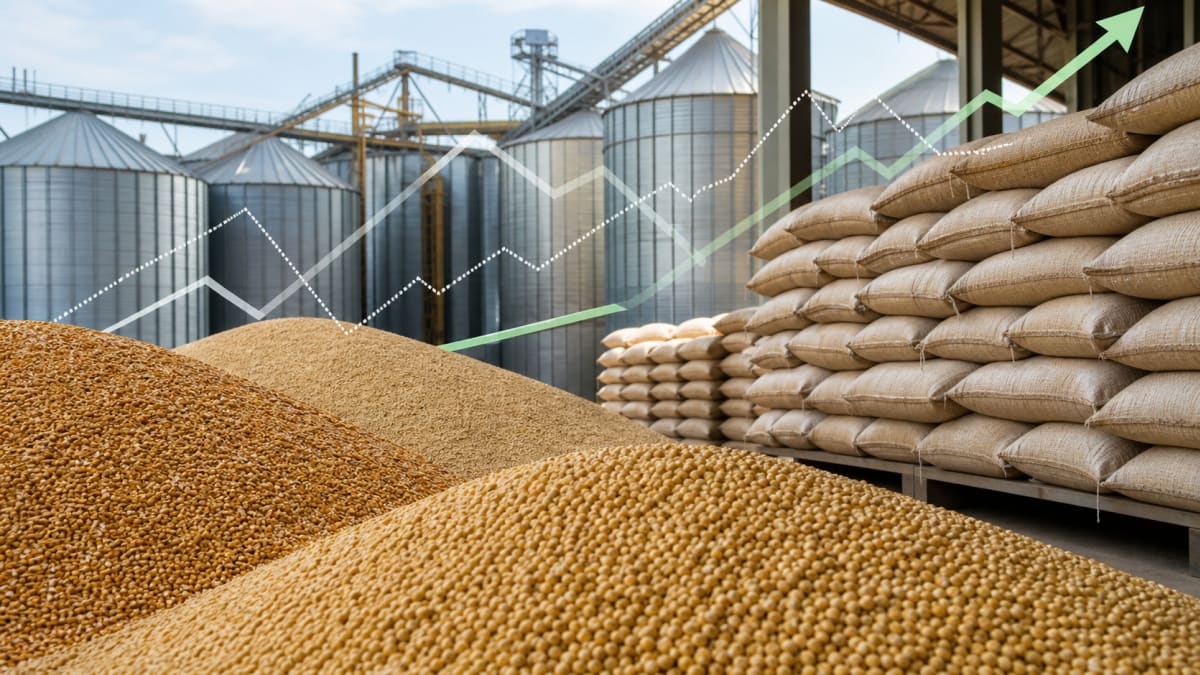 Igp m cai 050 em junho com recuo do ipa m e alta de precos agropecuarios