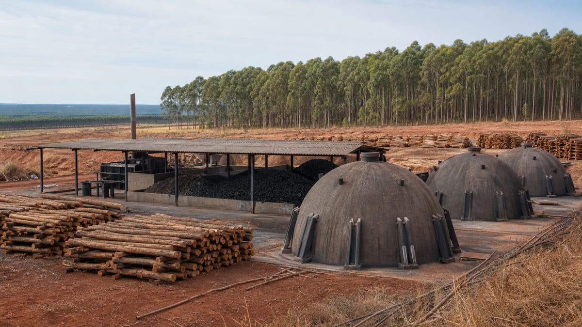 bndes aprova R$ 438 milhões para planta de carvao vegetal da ferbasa na bahia