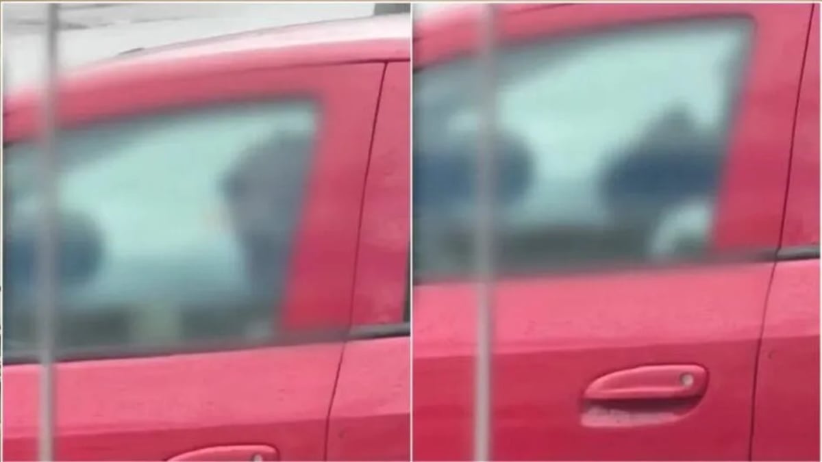 Justiça decreta prisão preventiva de padrasto por agressão em Palhoça