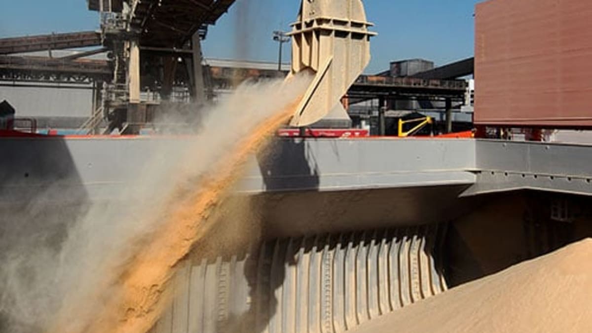 Exportações brasileiras de soja crescem em volume e receita em junho de 2025