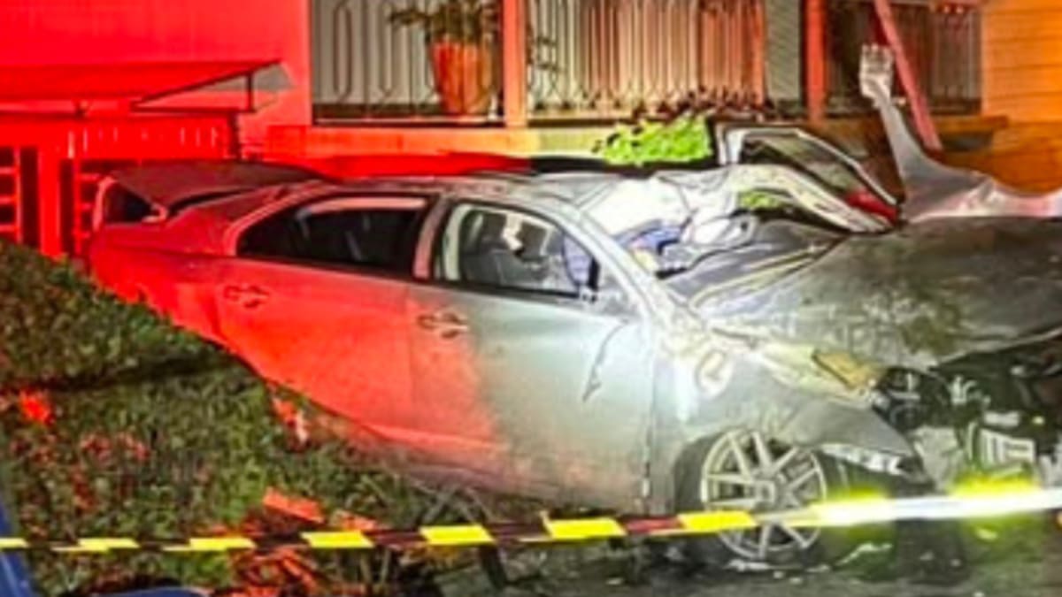Carro capota e atinge árvores e poste antes de parar em pátio residencial
