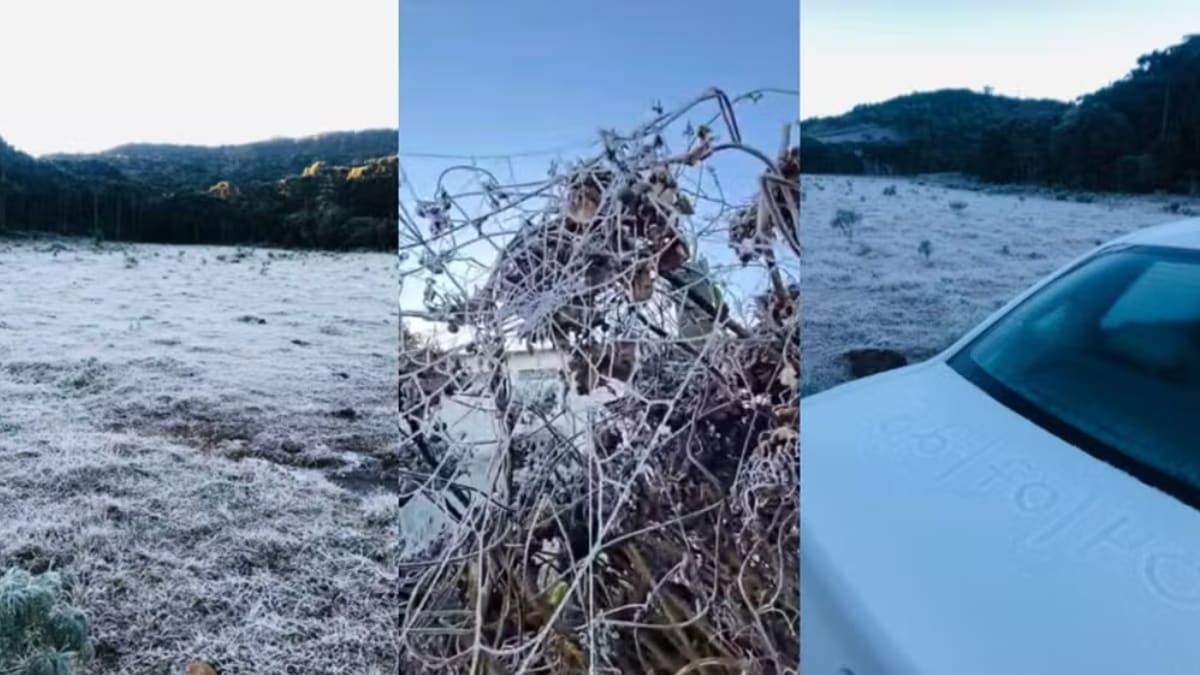 Santa Catarina registra -5,7°C e 19 cidades com temperaturas abaixo de zero