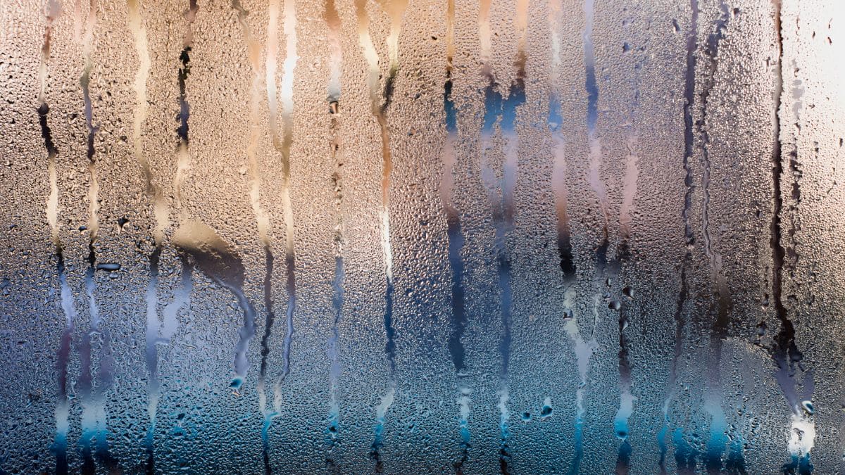 Frente fria provoca queda nas temperaturas e risco de geada em Santa Catarina