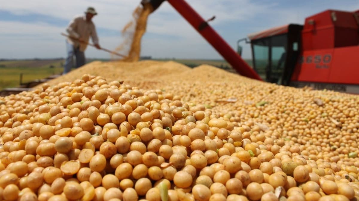 Alta das cotações internas da soja é sustentada apesar da menor disponibilidade de cotas portuárias
