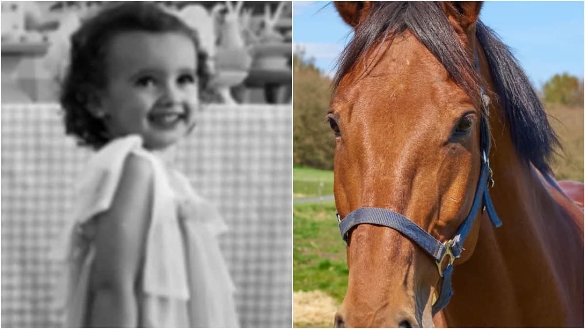 Menina de 3 anos morre após cair de cavalo em Bela Vista de Goiás