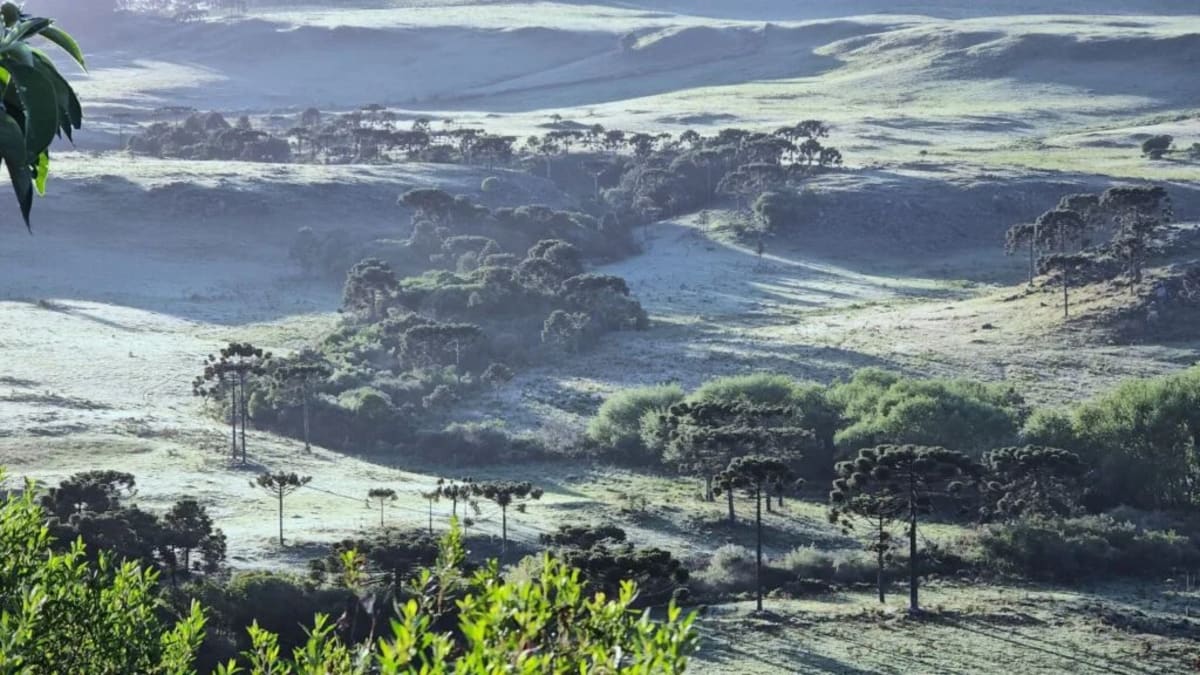 Defesa Civil alerta para frio intenso em Florianópolis e Santa Catarina