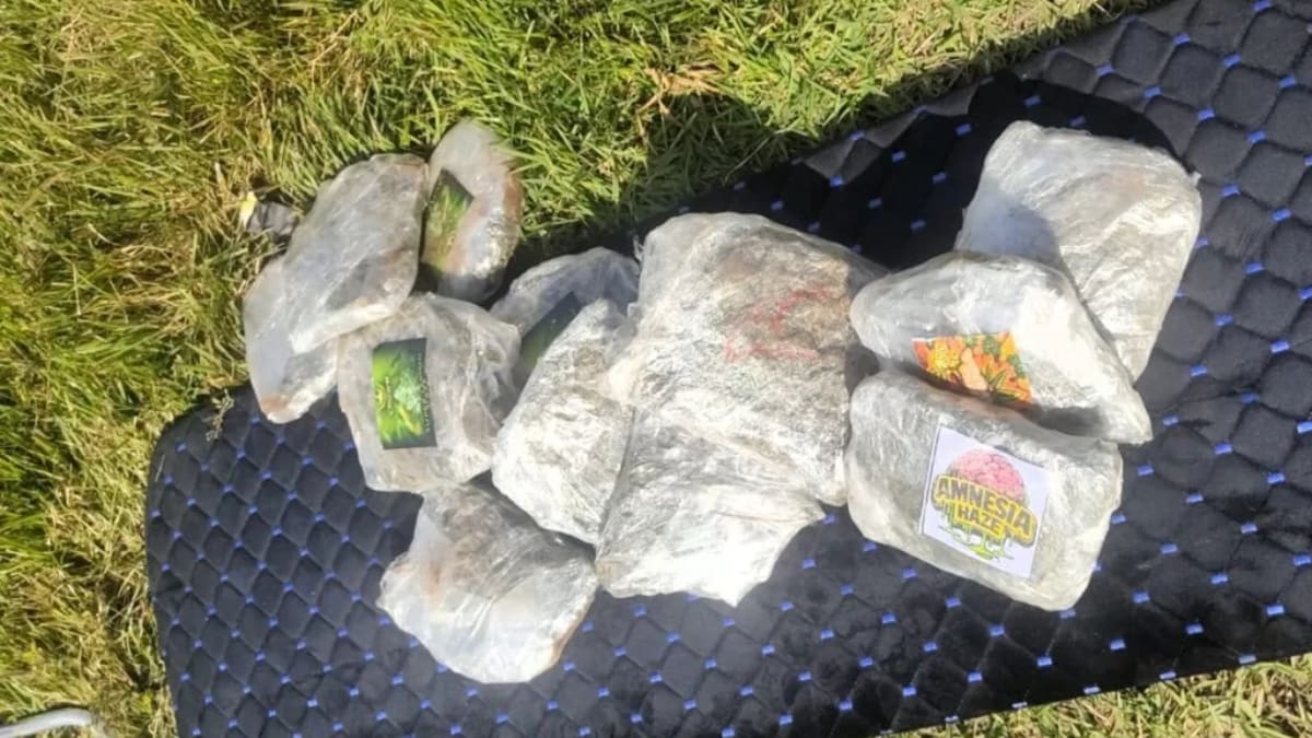 Polícia apreende 30 quilos de drogas em veículo com foragido em Joinville