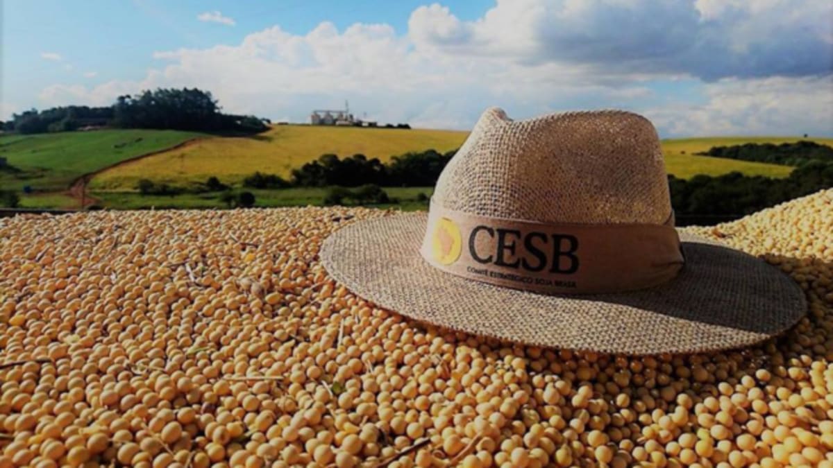 Fórum Soja Brasil abre 15ª temporada com foco em produtividade e inovação